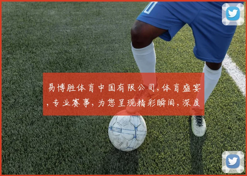 易博胜体育中国有限公司,体育盛宴,专业赛事,为您呈现精彩瞬间,深度解析,助力胜局